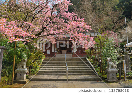 Fujikawa Tenjin Fujikawa Tenjin 132768018