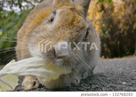 Are you there? 132768283