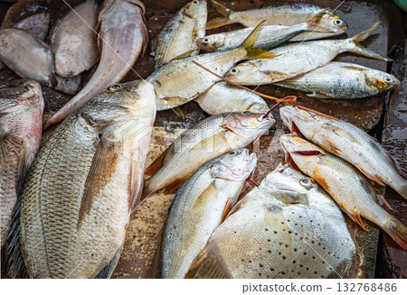 Fish variety on market. Fresh catch of fish, top view. Tropical Seafood in the Market Fish variety on market. Fresh catch of fish, top view. Tropical Seafood in the Market 132768486