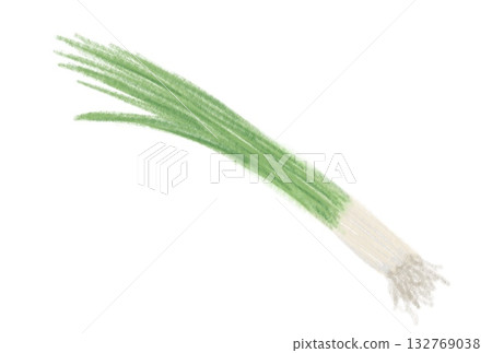 Pastel illustration of green onion 132769038