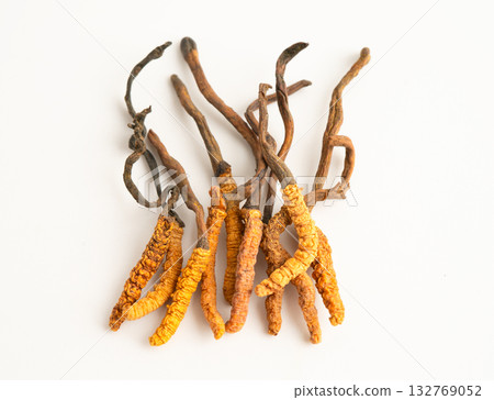 Cordyceps sinensis or Ophiocordyceps sinensis isolated on white background, mushroom herb treatment medicine. 132769052