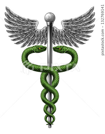 Caduceus Medical Asclepius Rod Doctor Symbol Icon 132769141