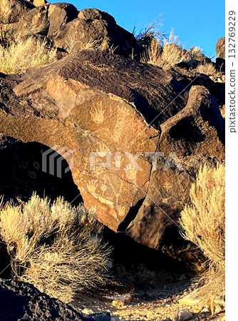 來自遠古的訊息 132769229