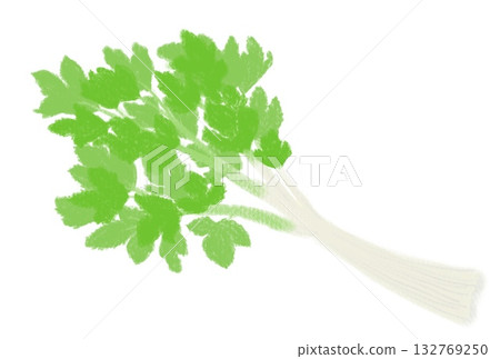 Simple celery illustration Simple celery illustration 132769250