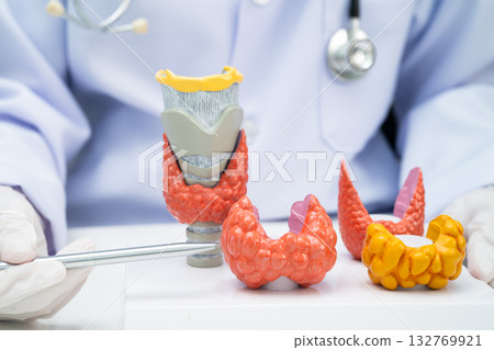 Hyperthyroidism, Overactive Thyroid, Thyroid Lymphoma, Asian doctor with thyroid gland human anatomy model in hospital. Hyperthyroidism, Overactive Thyroid, Thyroid Lymphoma, Asian doctor with thyroid gland human anatomy model in hospital. 132769921