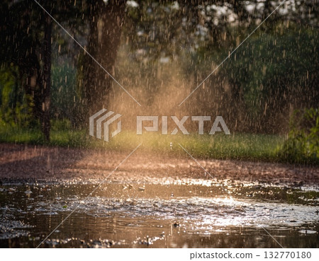 rain  132770180