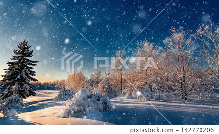雪地 雪地 132770206
