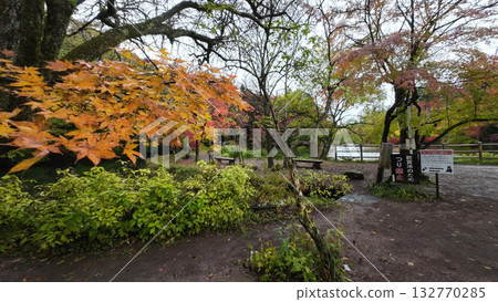 輕井澤久保池 132770285