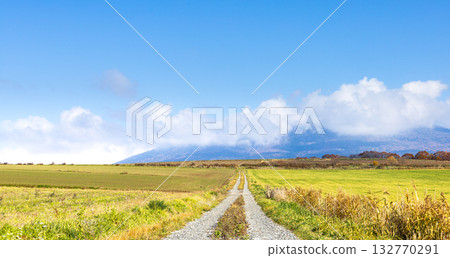 A pleasant autumn scene around Furebetsu in Furano City under a clear blue sky A pleasant autumn scene around Furebetsu in Furano City under a clear blue sky 132770291