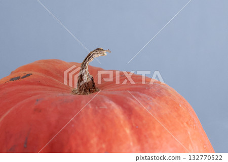 Orange pumpkin with a tail. On a gray background. Close-up. 132770522