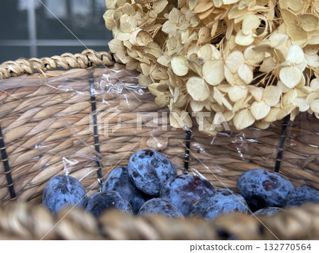 Ripe blue plums in a woven basket. A lush dried hydrangea flower on the edge of the basket. 132770564