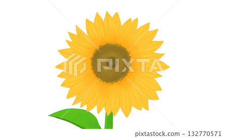 Sunflower illustration 132770571