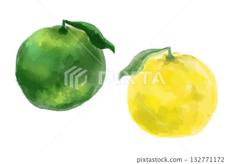 水彩風柚子和卡布斯柑橘插畫集 132771172