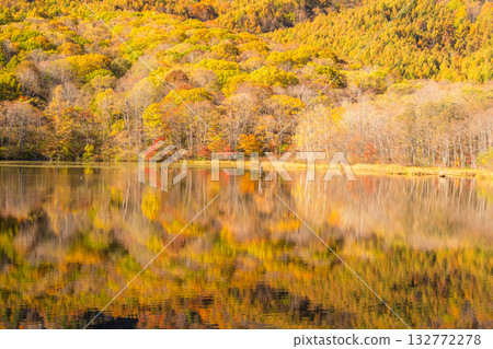長野縣：鏡池與戶隱的秋色美景 132772278