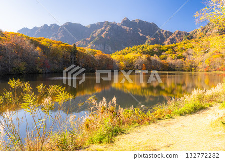Nagano Prefecture: Kagami Pond and Togakushi at the peak of autumn foliage 132772282