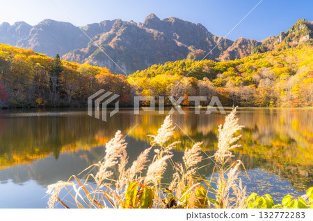 長野縣：鏡池與戶隱的秋色美景 132772283