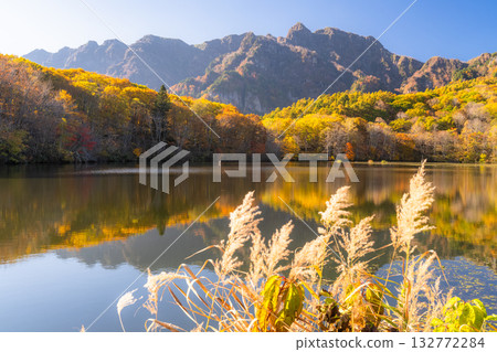 長野縣：鏡池與戶隱的秋色美景 132772284