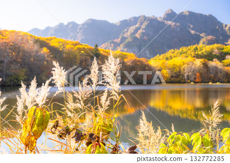 長野縣：鏡池與戶隱的秋色美景 132772285