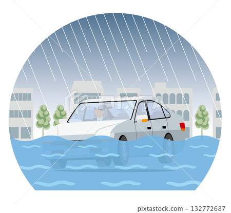 淹沒的汽車穹頂類型 132772687