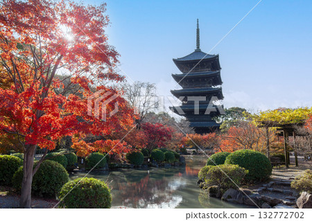 Five-storied pagoda of Toji Temple in Kyoto and colored leaves around Hytan Pond Five-storied pagoda of Toji Temple in Kyoto and colored leaves around Hytan Pond 132772702