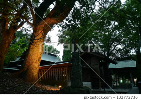 Yanagawa Mitsuhashira Shrine at night 132772736