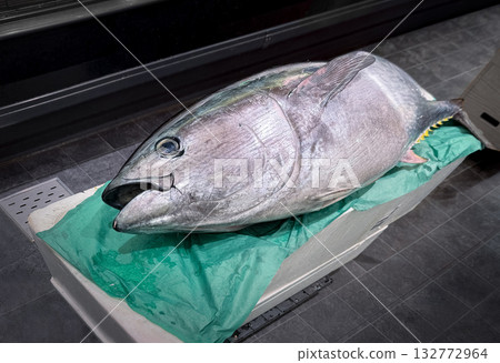Tuna for sale at the fish market Tuna for sale at the fish market 132772964