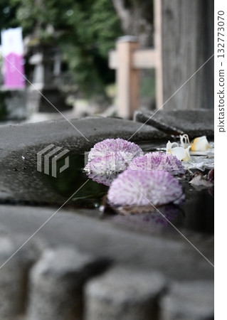 Cute balls floating in the water basin Cute balls floating in the water basin 132773070