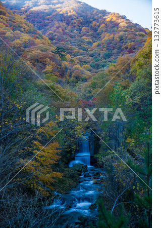 遠野市瀨野的紅葉 遠野市瀨野的紅葉 132773615