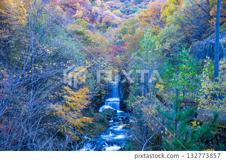 Autumn leaves at Sennin Pass in Tono City Autumn leaves at Sennin Pass in Tono City 132773857
