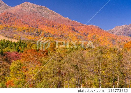 新潟縣：秋色最盛時的伊森池與妙高高原 132773883