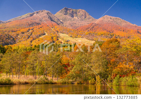 Niigata Prefecture: Imori Pond and Myoko Kogen at the peak of autumn foliage 132773885