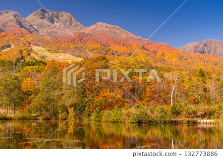 Niigata Prefecture: Imori Pond and Myoko Kogen at the peak of autumn foliage Niigata Prefecture: Imori Pond and Myoko Kogen at the peak of autumn foliage 132773886