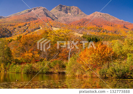 Niigata Prefecture: Imori Pond and Myoko Kogen at the peak of autumn foliage 132773888