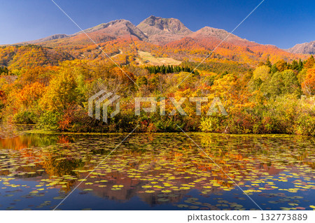 新潟縣：秋色最盛時的伊森池與妙高高原 132773889