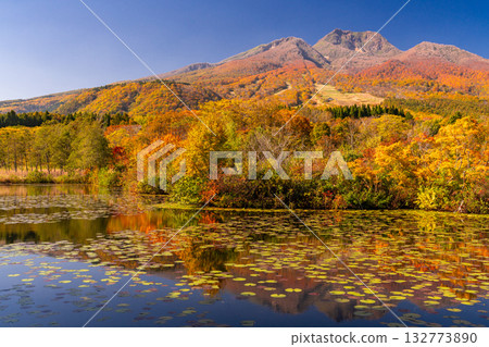 Niigata Prefecture: Imori Pond and Myoko Kogen at the peak of autumn foliage Niigata Prefecture: Imori Pond and Myoko Kogen at the peak of autumn foliage 132773890
