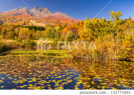 新潟縣：秋色最盛時的伊森池與妙高高原 132773891