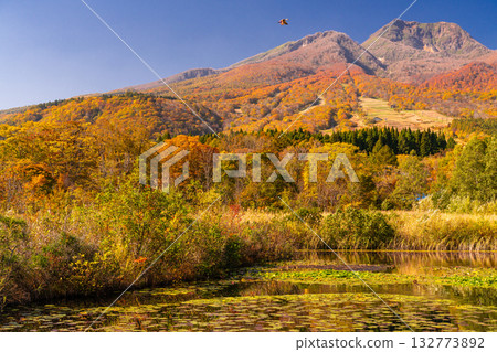 新潟縣：秋色最盛時的伊森池與妙高高原 132773892