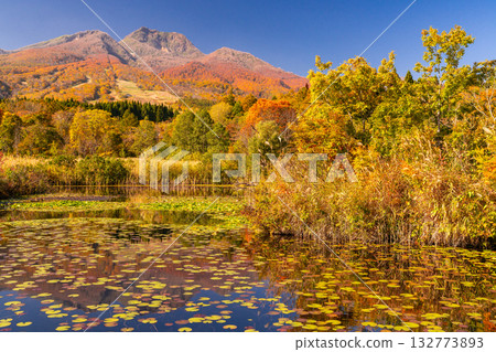 Niigata Prefecture: Imori Pond and Myoko Kogen at the peak of autumn foliage 132773893