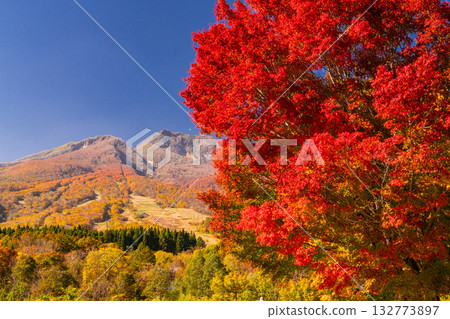 Niigata Prefecture: Imori Pond and Myoko Kogen at the peak of autumn foliage Niigata Prefecture: Imori Pond and Myoko Kogen at the peak of autumn foliage 132773897