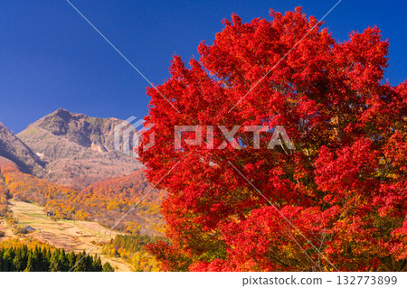 新潟縣：秋色最盛時的伊森池與妙高高原 132773899