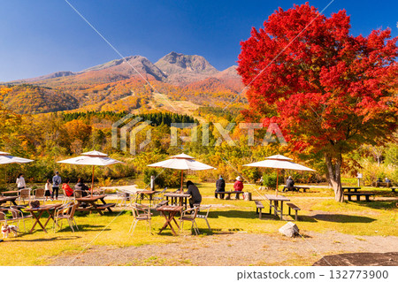 Niigata Prefecture: Imori Pond and Myoko Kogen at the peak of autumn foliage Niigata Prefecture: Imori Pond and Myoko Kogen at the peak of autumn foliage 132773900