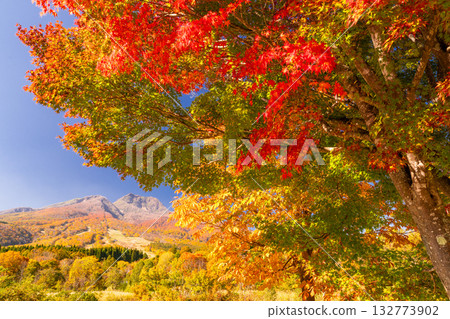 新潟縣：秋色最盛時的伊森池與妙高高原 132773902