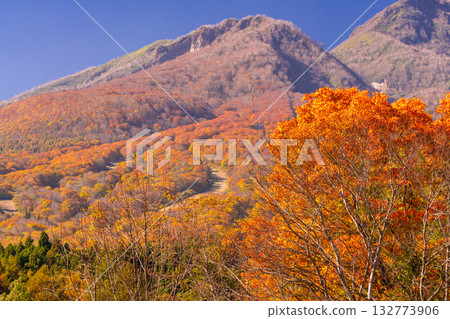 新潟縣：秋色最盛時的伊森池與妙高高原 132773906