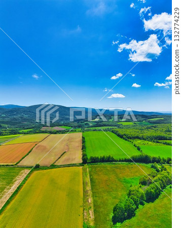 Northern land Northern land 132774229