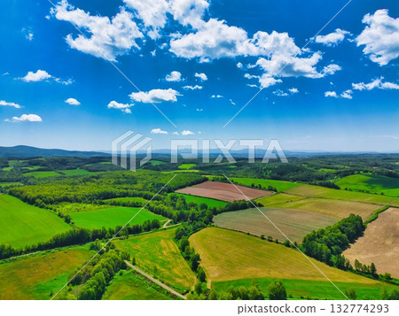 Northern land 132774293