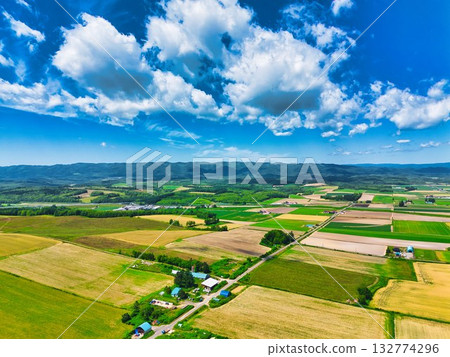 北方大地 132774296