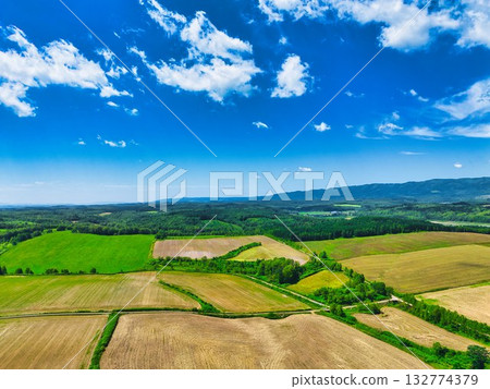 北方大地 北方大地 132774379