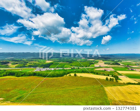 北方大地 北方大地 132774381