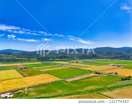 北方大地 132774387