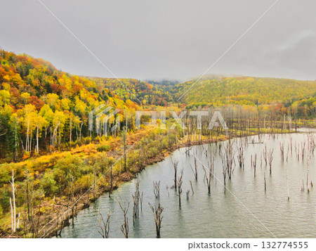 Autumn leaves Autumn leaves 132774555